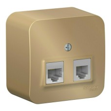 BLANCA О/У РОЗЕТКА двойная: комп.RJ45, кат.5Е + телеф. RJ11 ИЗОЛ.ПЛ., ТИТАН