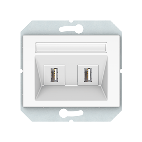 USB розетка двухместная, без рамки, белый