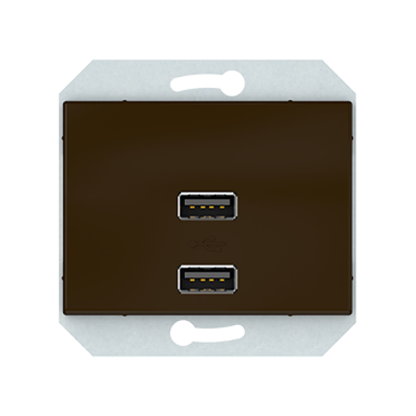 USB зарядное устройство двухместное 2xUSB 3,4 А без рамки, коричневый