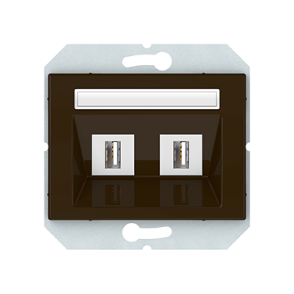 USB розетка двухместная, без рамки, коричневый