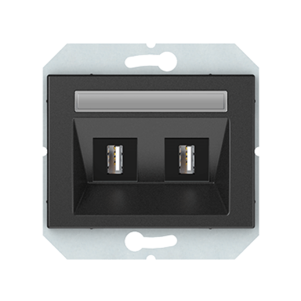 USB розетка двухместная, без рамки, антрацит