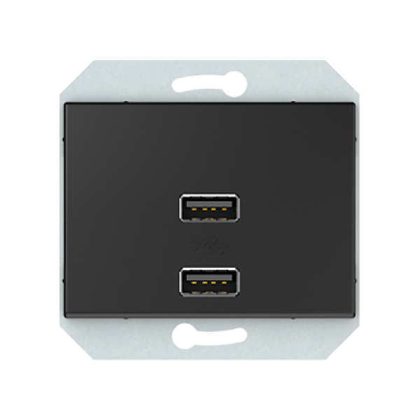 USB зарядное устройство двухместное 2xUSB 3,4 А без рамки, антрацит