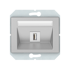 USB розетка без рамки, металлик