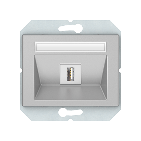 USB розетка без рамки, металлик