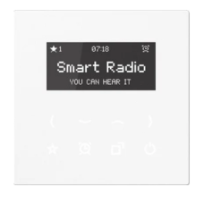 Smart Radio - Set Mono // Jung - LS990, белый