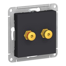 ALASDESIGN АУДИОРОЗЕТКА двухместная, КАРБОН
