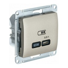 GLOSSA USB РОЗЕТКА тип-C 65W высокоскор.заряд. QC, PD, механизм, ТИТАН