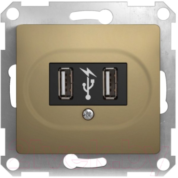 GLOSSA USB РОЗЕТКА, 5В /1400 мА, 2 х 5В /700 мА, механизм, ТИТАН