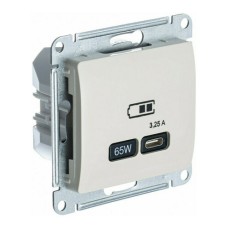 GLOSSA USB РОЗЕТКА тип-C 65W высокоскор.заряд. QC, PD, механизм, МОЛОЧНЫЙ