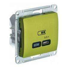 GLOSSA USB РОЗЕТКА тип-C 65W высокоскор.заряд. QC, PD, механизм, ФИСТАШКОВЫЙ