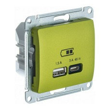 GLOSSA USB РОЗЕТКА A + тип-C 45W высокоскор.заряд. QC, PD, механизм, ФИСТАШКОВЫЙ