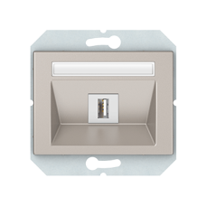 USB розетка без рамки, шампань