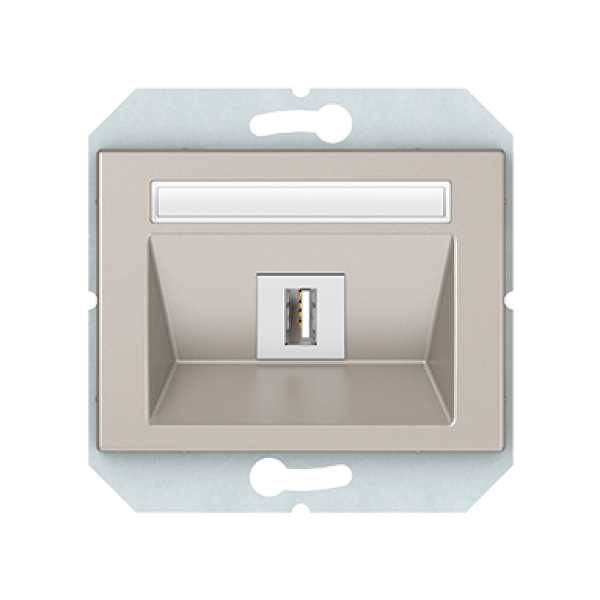 USB розетка без рамки, шампань