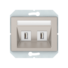 USB розетка двухместная, без рамки, шампань