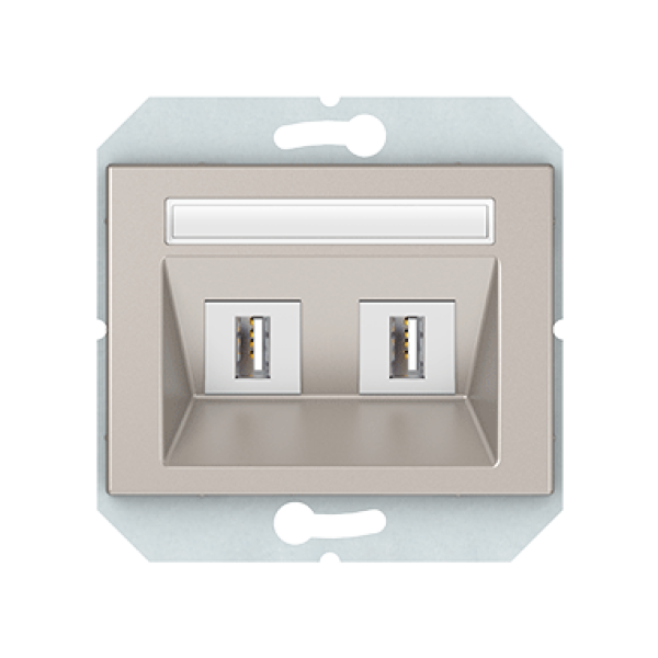 USB розетка двухместная, без рамки, шампань