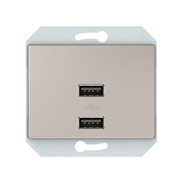 USB зарядное устройство двухместное 2xUSB без рамки, шампань