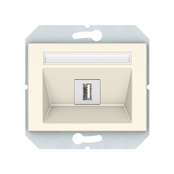 USB розетка без рамки, слоновая кость