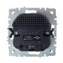 BRITE Розетка 1-местная с заземлением с защитными шторками 16А с USB A+A 5В 2,1А РЮш10-1-БрЧ черный IEK