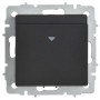 BRITE Выключатель карточный 30А ВС10-1-8-БрЧ черный IEK