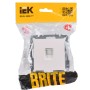 BRITE Розетка компьютерная RJ45 кат.5E РК10-БрЖ жемчуг IEK
