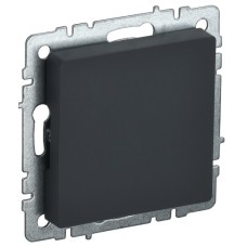 BRITE Заглушка с суппортом МЗ10-БрГ графит IEK