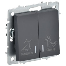 BRITE Выключатель 2-клавишный с индикацией для отелей 10А ВС10-2-9-БрГ графит IEK
