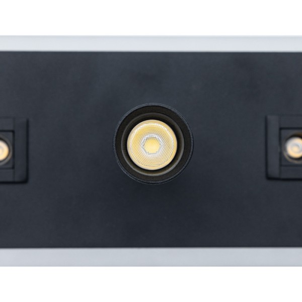 Спот Pisces A2220PL-3BK