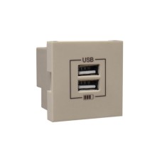 Розетка USB двойная &ndash; зарядная &ndash; шампань