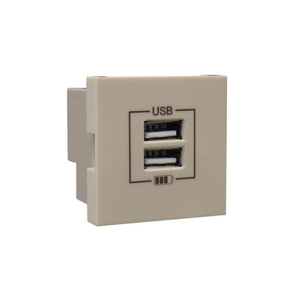 Розетка USB двойная &ndash; зарядная &ndash; шампань