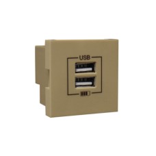 Розетка USB двойная &ndash; зарядная &ndash; золото