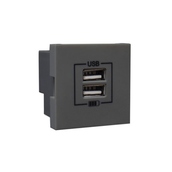 Розетка USB двойная &ndash; зарядная &ndash; серая