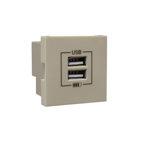 Розетка USB двойная &ndash; зарядная &ndash; бежевая