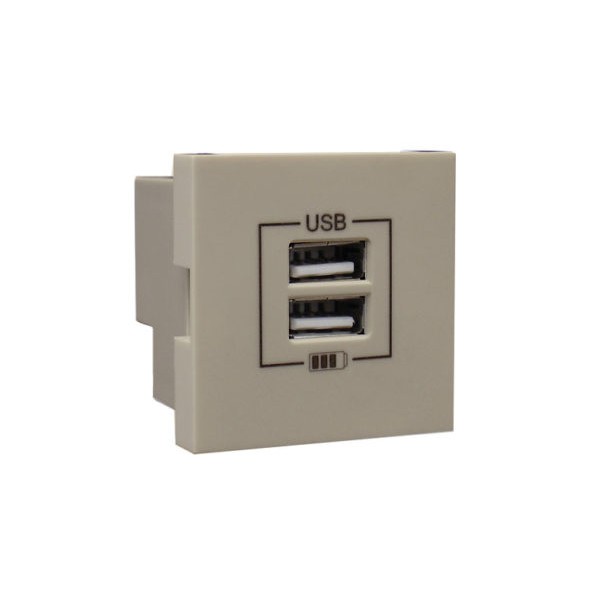 Розетка USB двойная &ndash; зарядная &ndash; жемчуг