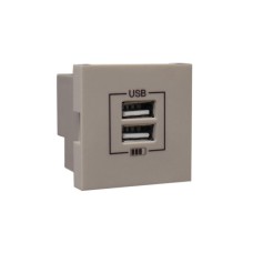 Розетка USB двойная &ndash; зарядная &ndash; платина
