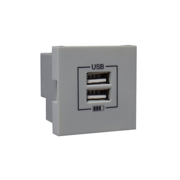 Розетка USB двойная &ndash; зарядная &ndash; серебро