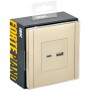 FORTE&PIANO Розетка USB A+C 18Вт FP451 ваниль IEK