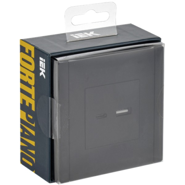 FORTE&PIANO Розетка USB A+C 3,1А FP150 черный IEK