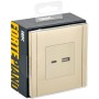 FORTE&PIANO Розетка USB A+C 3,1А FP450 ваниль IEK