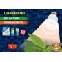 Лампа светодиодная для растений Uniel LED-A60-10W/SPFR/E27/CL PLP01WH