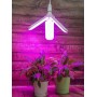 Лампа светодиодная для растений Uniel LED-P65-24W-SPSB-E27-FR-P3 PLP32WH