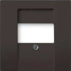 Лицевая панель для аккустических и 2хUSB розеток, шато чёрный