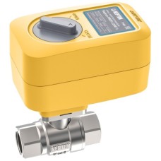 Кран с электроприводом Neptun PROFI 220В 1 1/4