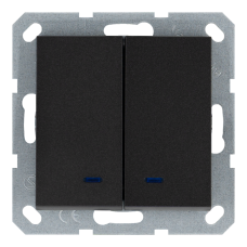 Выключатель 2-клавишный 10A с LED-подсветкой с клавишами - G (антрацит), артикул G3023NB