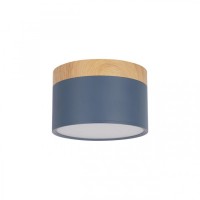 Точечный светильник Grape 10162 Blue