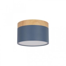 Точечный светильник Grape 10162 Blue