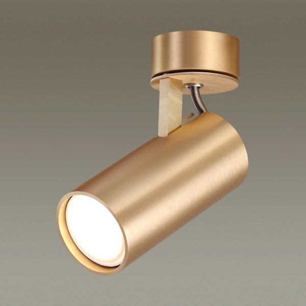 3876/1C ODL19 143 золотистый Потолочный светильник GU10 1*50W 220V KIKO