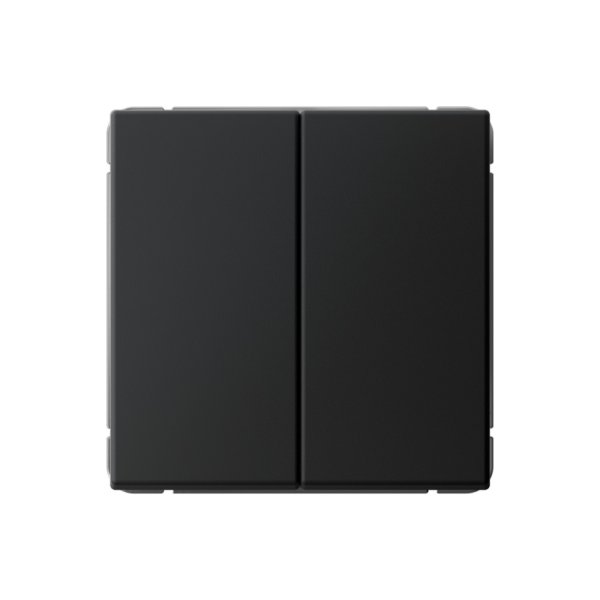Переключатель 2-клавишный Systeme Electric (Schneider Electric) ArtGallery, 10АХ, карбон, GAL001065