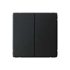 Выключатель 2-клавишный Systeme Electric (Schneider Electric) ArtGallery, 10АХ, карбон, GAL001051