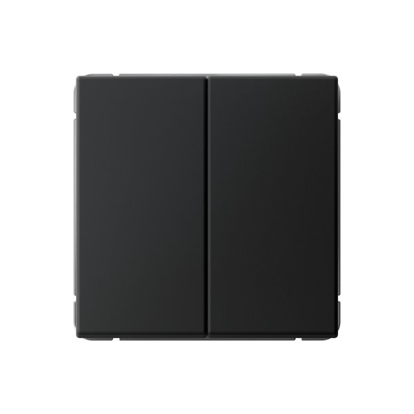 Выключатель 2-клавишный Systeme Electric (Schneider Electric) ArtGallery, 10АХ, карбон, GAL001051