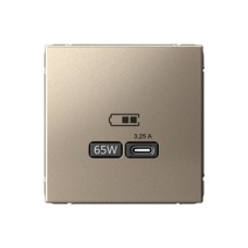 Высокоскоростная розетка USB тип-С Systeme Electric (Schneider Electric), ArtGallery, шампань, GAL000527